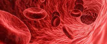 Hemoglobin